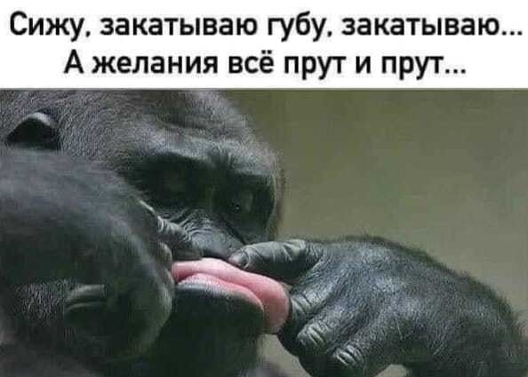 Сижу закатываю губу закатываю А желания всё прут и прут