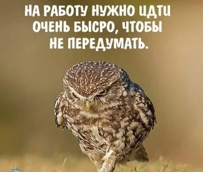 НА РАБОТУ НУЖНО НАШ ОЧЕНЬ БЫОРО ЧТОБЫ НЕ ПЕРЕДУМАТЪ
