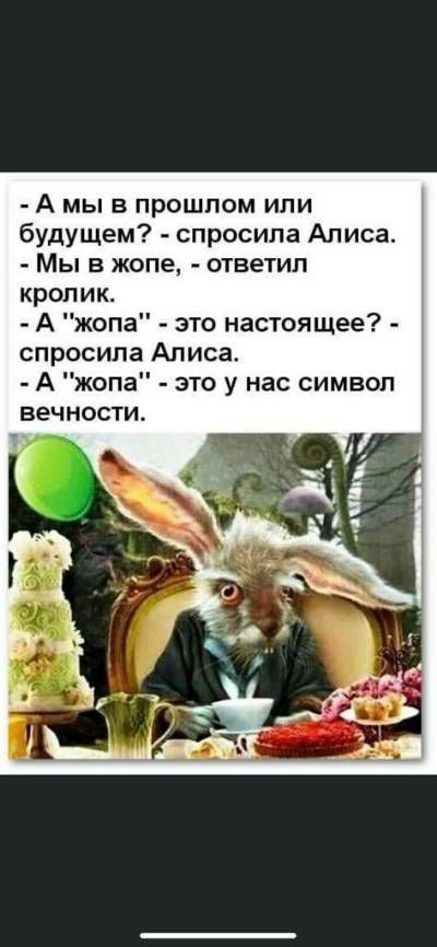 А мы в прошлом или будущем спросила Алиса Мы в жопе ответил кролик А жопа это настоящее спросила Алиса А жопа это у нас символ вечности