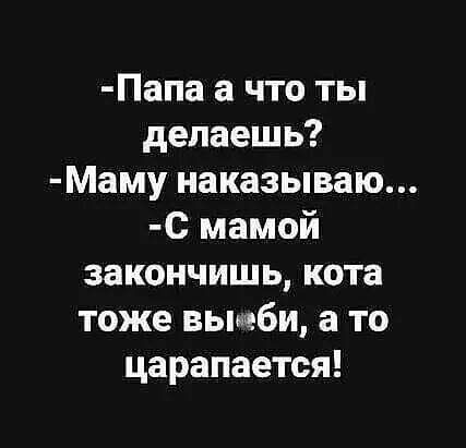 Папа а что ты делаешь Маму наказываю С мамой закончишь кота тоже вьщби а то царапается