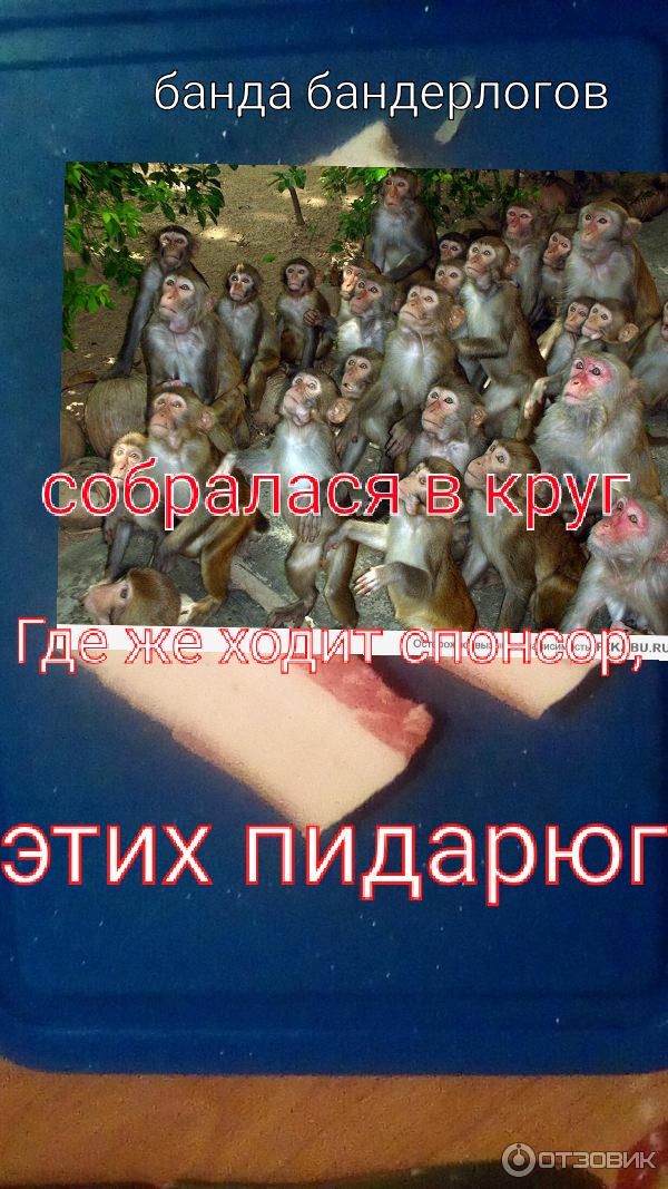 банда бандеупогов этихпидарюг птзпвик