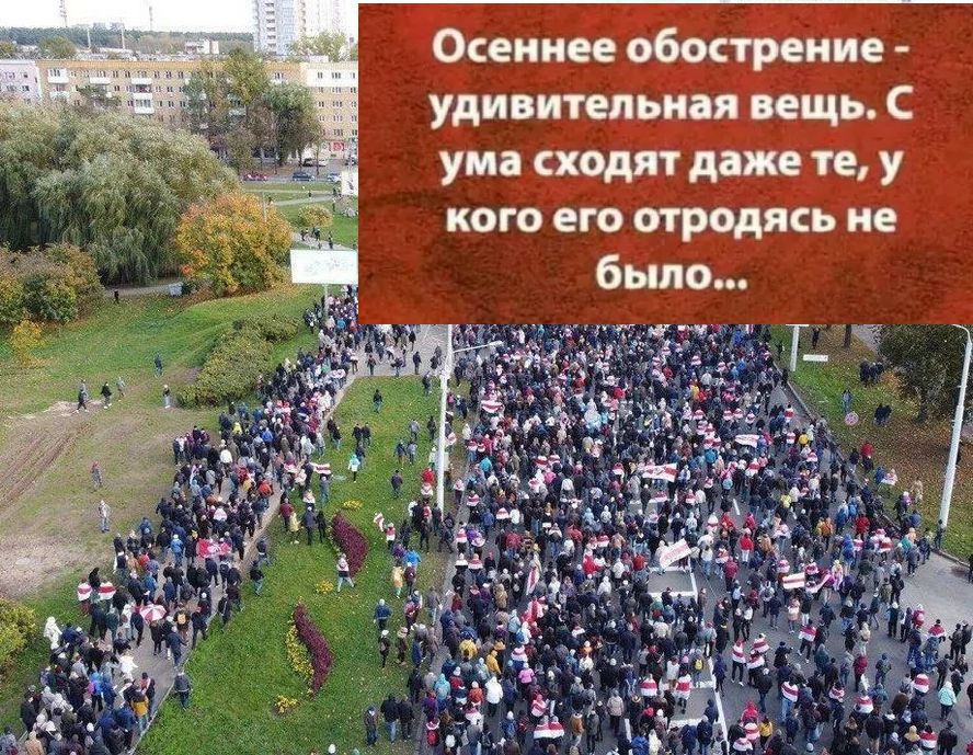 Осеннее обострение удивительная вещь С ума сходят даже те у кого его отродясь не
