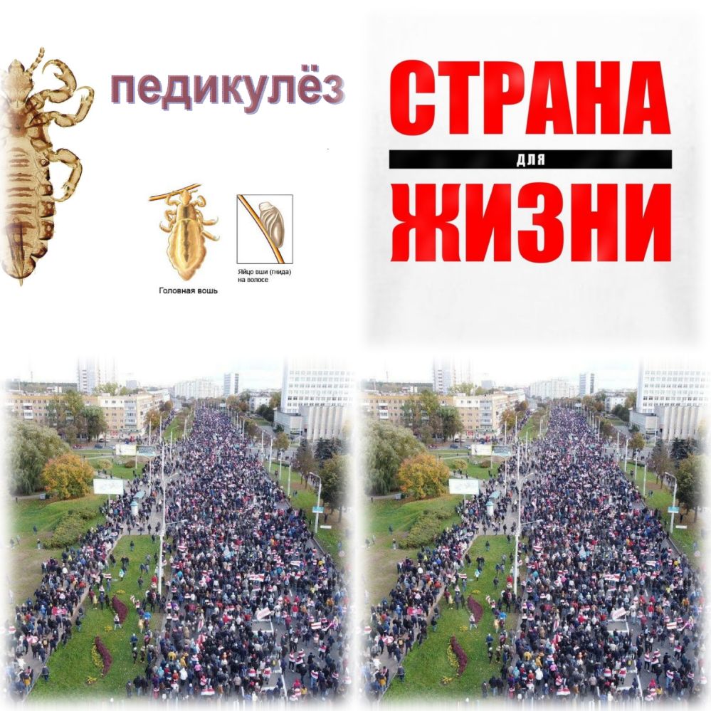 эа Гитин