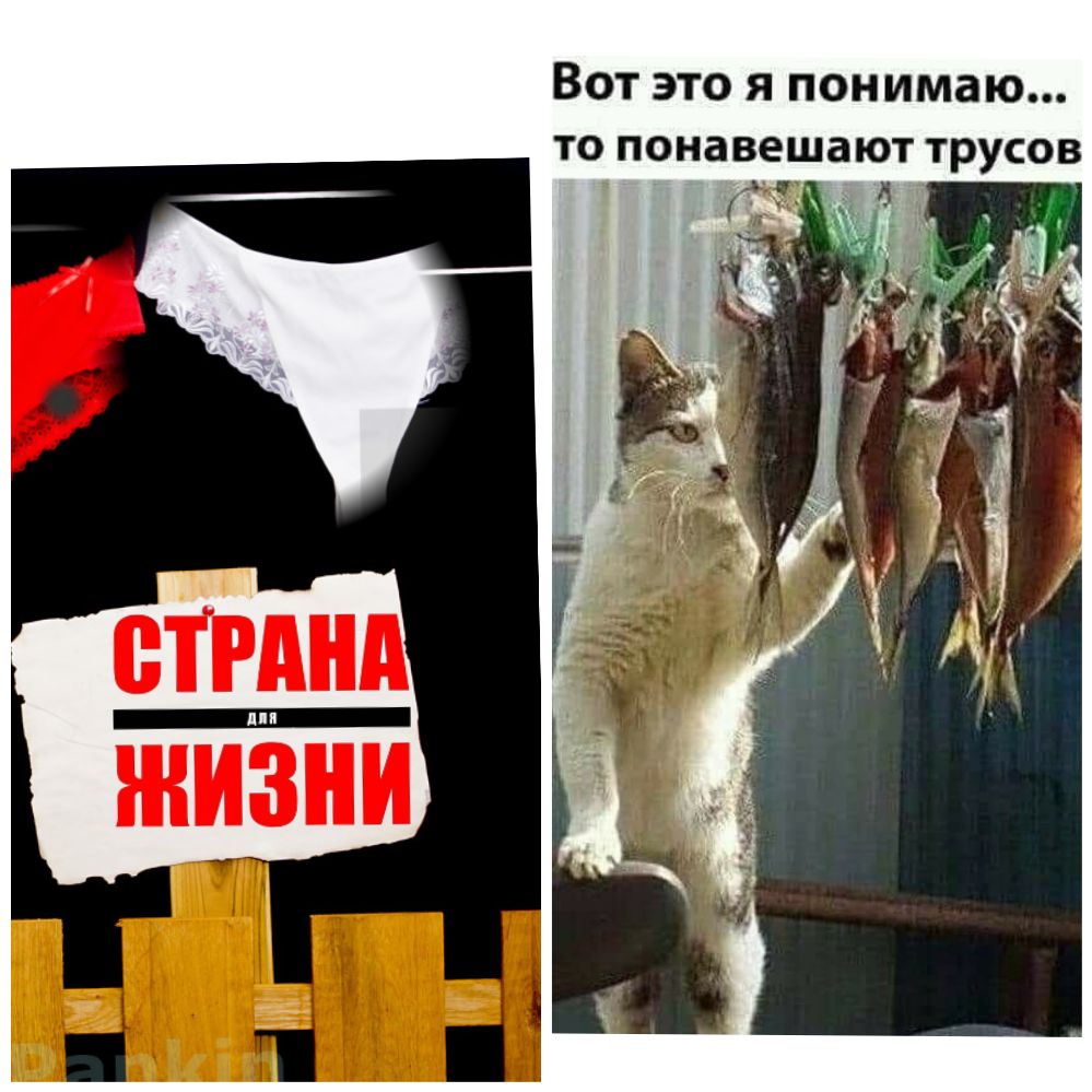 Вот это я понимаю ТО ПОНЗВЕШЗЮТ ТРУСОВ _ и
