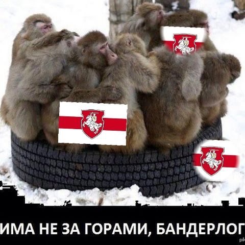ИМА НЕ ЗА ГОРАМИ БАНДЕРЛОЕ