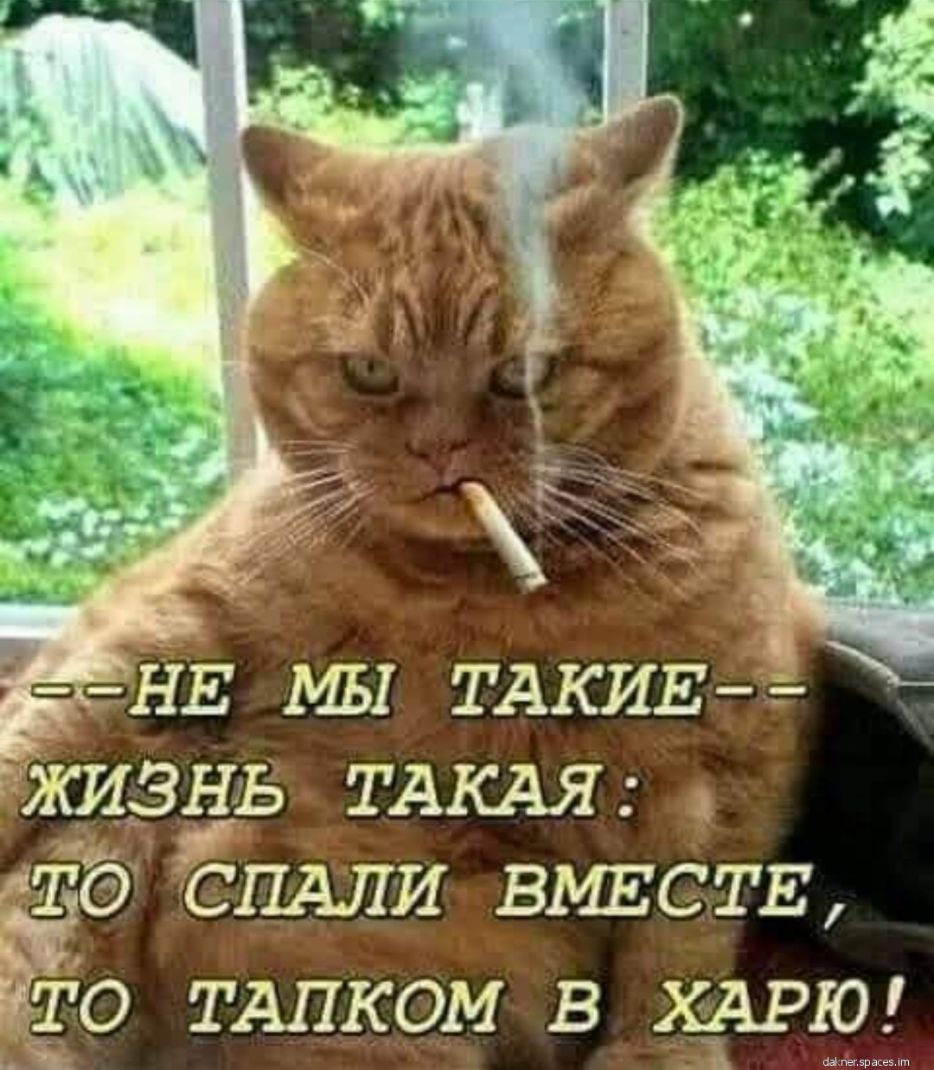 тнв мы ТАКИЕ гзжцздь ТАКАЯ ета С11АПИ ВМЕСТЕ Ё О ТАПКОМ в ХАРЮ