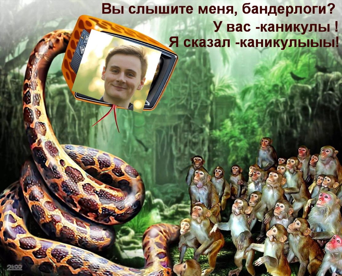 Вы слышите меня бандерлоги У вас каникулы