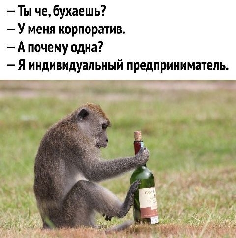 Ты че бухаешь У меня корпоратив А почему одна я индивидуальный предприниматель