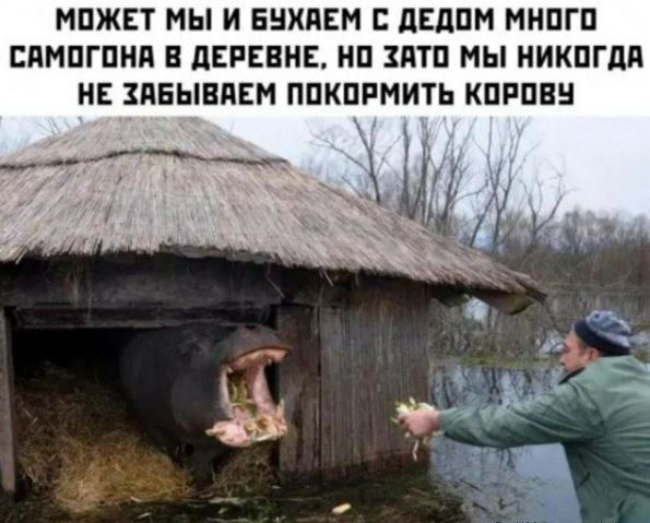МПЖЕТ МЫ И БНХЯЕМ дЕдПМ МНПГП ЕПМПГПНП В дЕРЕВНЕ НП ПТП МЫ НИКПГЦП МЕ ЗПБЫВАЕМ ППКПРМИТЬ КПРПВН