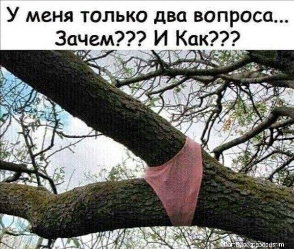 У меня только два вопроса Зачем И __Как