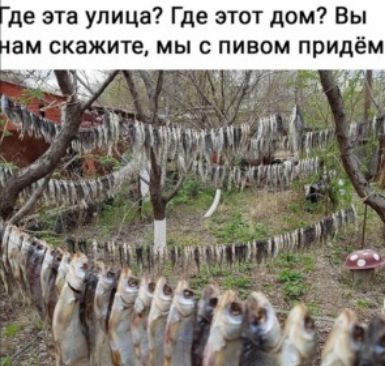 де эта улица Где этот дом Вы ам скажите МЫ с ПИВОМ придём К ь МЁЧМЧУ г А г Ё