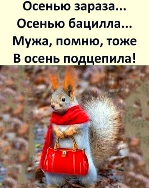 Осенью зараза Осенью бацилла Мужа помню тоже В осень по цепила ч с