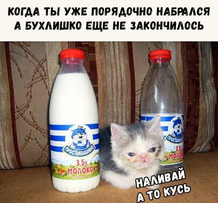 КОГДА ТЫ УЖЕ ПОРЯАОЧНО НАБРААСЯ А БУХАИШКО ЕЩЕ НЕ ЗАКОНЧИАОСЬ