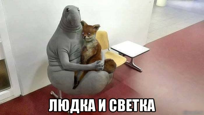 іііпднд и еввнд