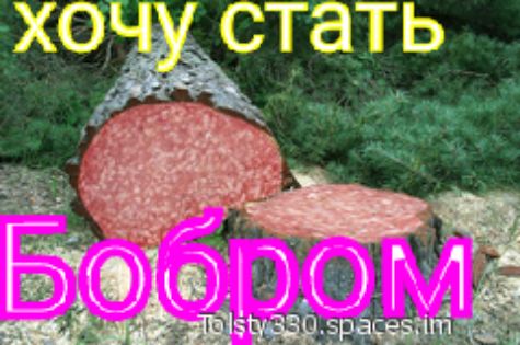 ОЧ стать