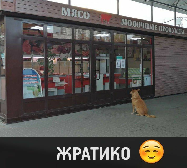 ЖРАТИКО