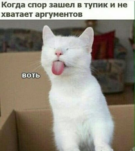 Когда спор зашел в тупик и не хватает аргументов