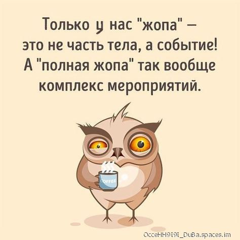 Только у нас жопа это не часть тела а событие А полная жопа так вообще комплекс мероприятий