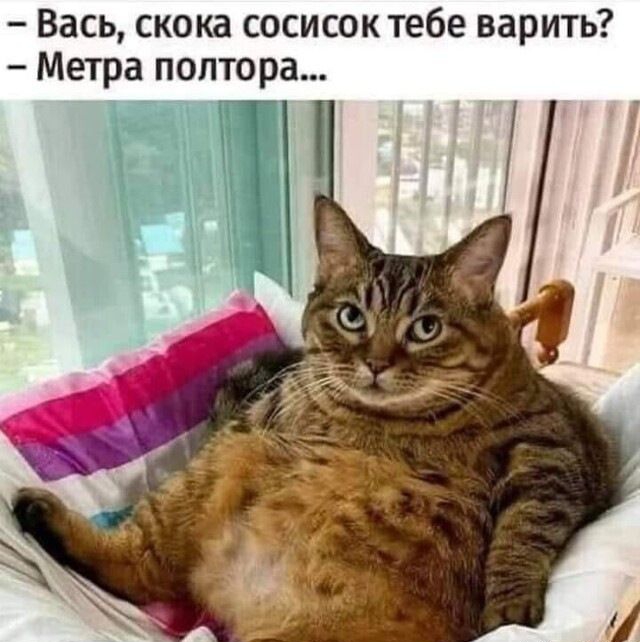Вась скока сосисок тебе варить Метра полтора