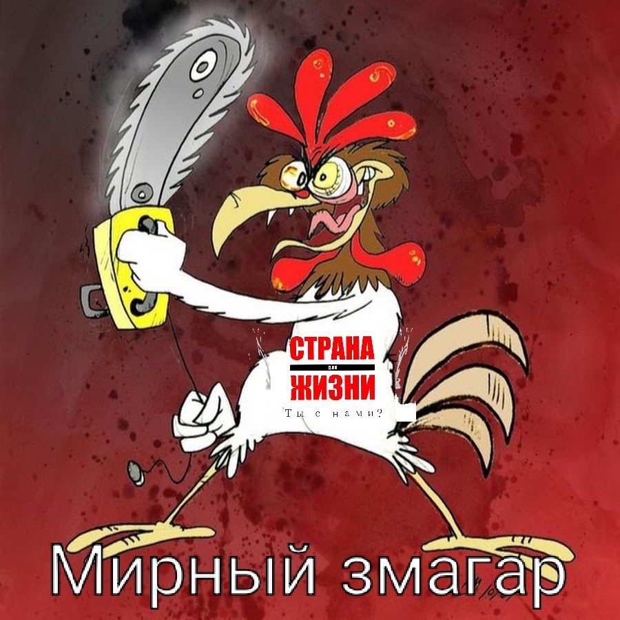 7 Мирный змагар