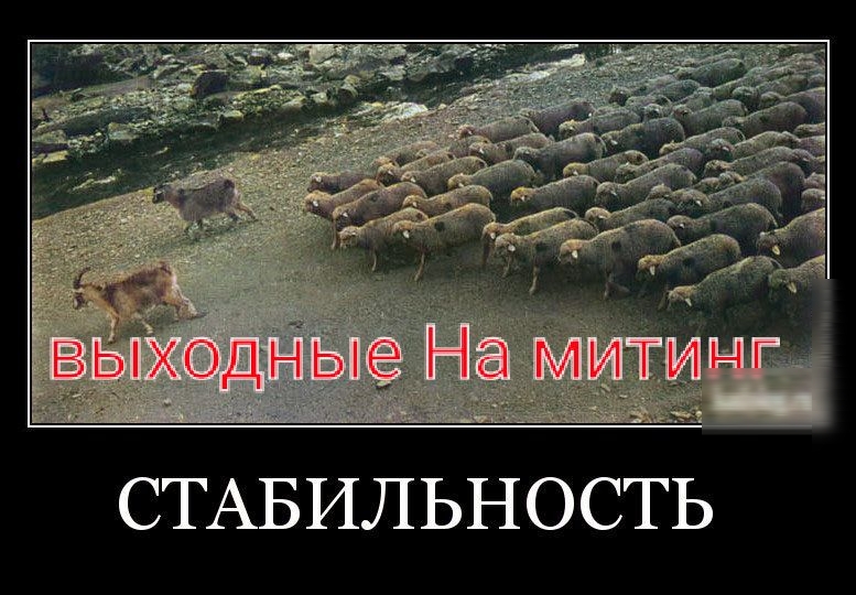 СТАБИЛЬНОСТЬ