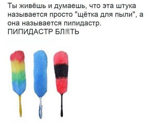 Ты живёшь и думаешь что эта штука называется просто щётка для пыли а она называется пипидастр ПИПИДАСТР БПЧТЬ