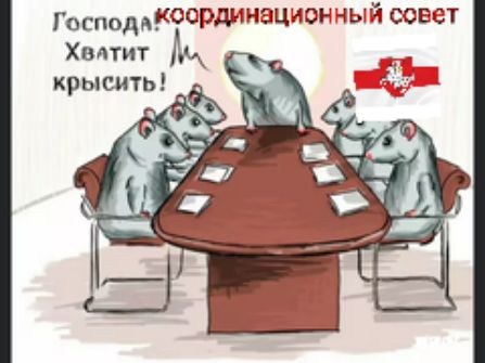 господдкоордмияционный совет Хвлтит крысить