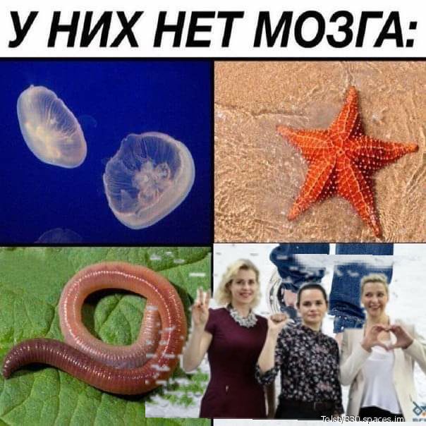 У НИХ НЕТ М_ОЗ