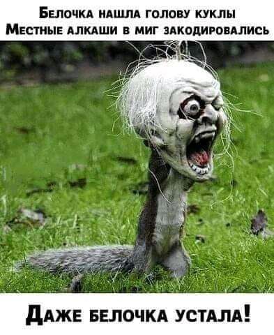 ББПОЧКА АША ГОЛОВУ КУКЛЫ МЕСТНЫЕ АЛКАШИ В МИГ РОПАЛИСЪ дджв ввлочкд устдлд