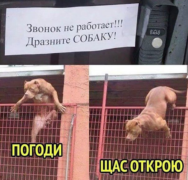Звонок по рибошс БАКУЁ ірызппш