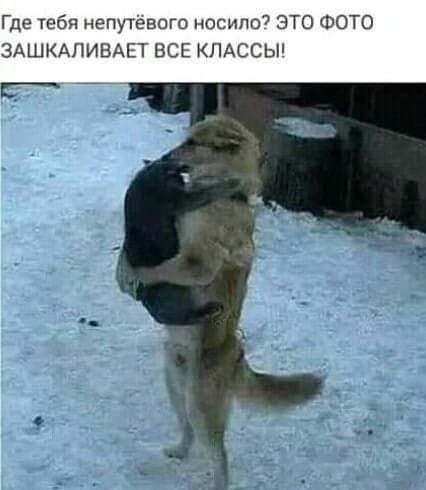 Где тебя непутёвого носило ЭТО ФОТО ЗАШКАПИВАЕТ ВСЕ КЛАССЫ
