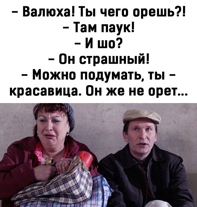 Валюха Ты чего орешь Там паук И шо Он страшный Можно подумать ты красавица Он же не орет