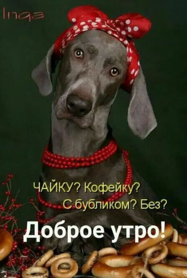 Чаику'7 кофеик? С бубпиком7 без?