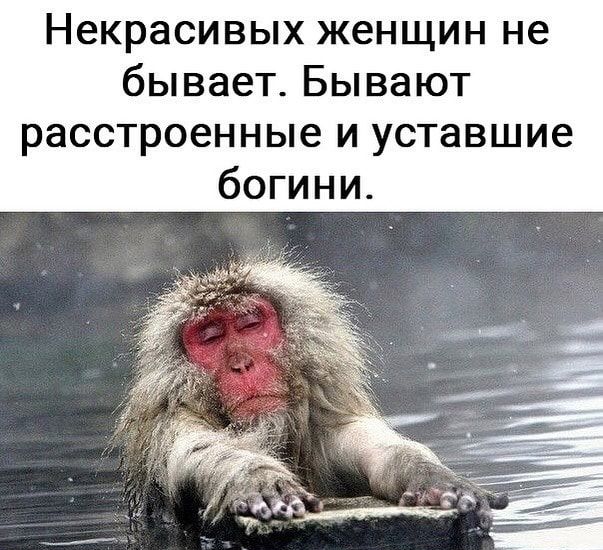 Некрасивых женщин не бывает Бывают расстроенные и уставшие богини