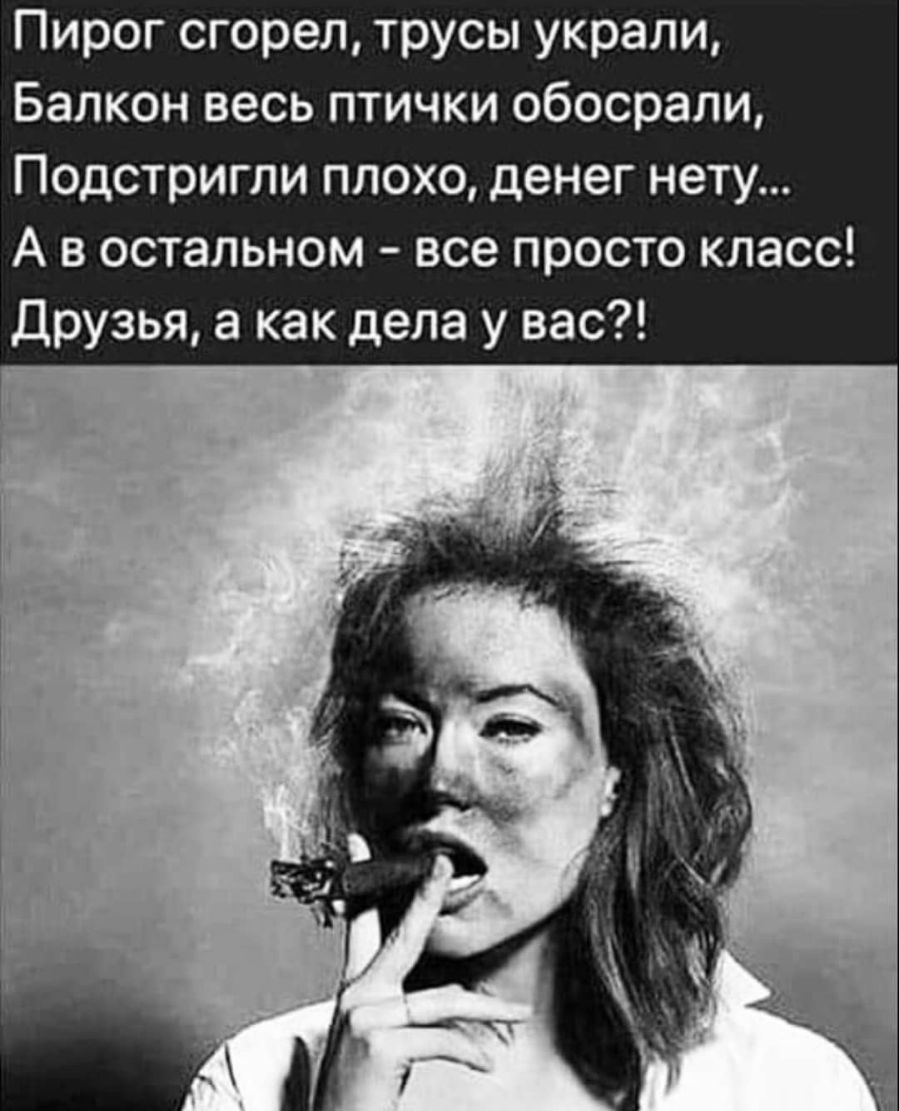 Пирог сгорел, трусы украли, балкон весь птички обосрали, подстригли плохо, денег нету... А в остальном  все просто класс! Друзья, а как дела у вас?!