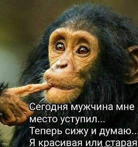 мебто уступил Теперь сижу и думаю Я красивая илирврая