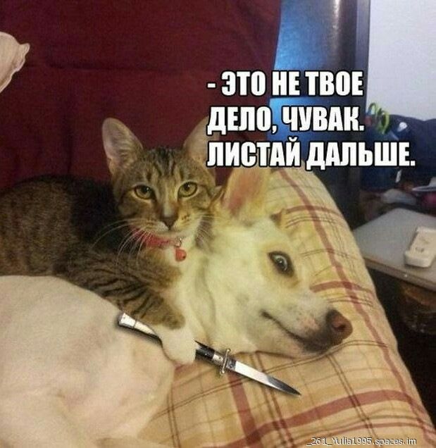 дшойііідн 4