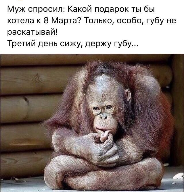 Муж спросил Какой подарок ты бы хотела к 8 Марта Только особо губу не раскатывай Третий день сижу держу губу