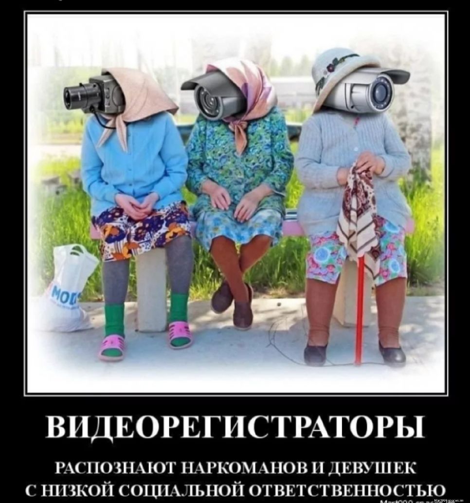 ВИДЕОРЕГИСТРАТОРЫ щспозщют шгкохынов и дивушкк с низкой сошьшьной ОТВЕТСТВЕННОСТЬ