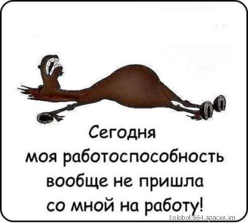 Сегодня моя работоспособность вообще не пришла со мной на рабуту