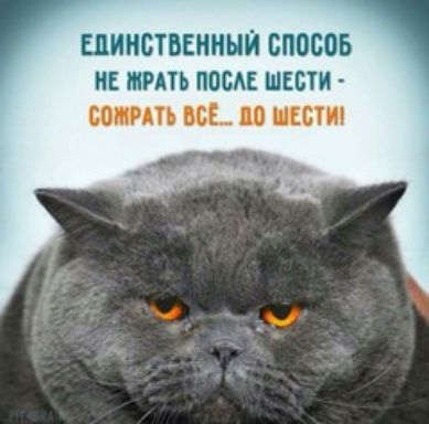 ЕДИНСТВЕННЫЙ СПОСОБ НЕ тить ПОСАЕ ШЕБТИ МА Е ЦСМ