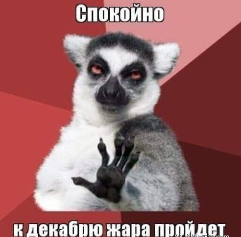 и леиаппю жапа пиплы