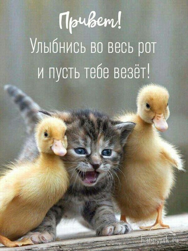 п Улыбнись во весь рот и пусть тебе везёт