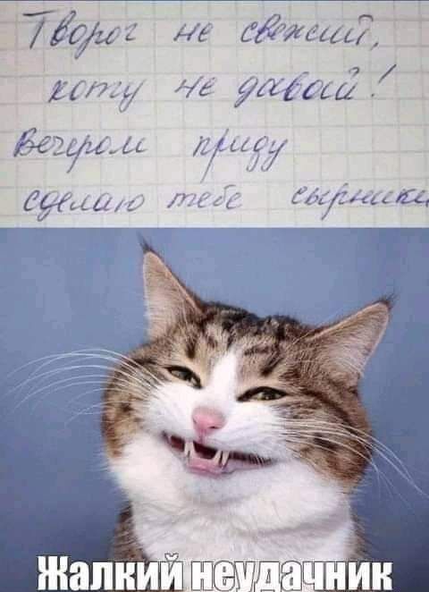 иь Е ЁЁЙСЦд ггщ лис кщшг ЖіеЕДЦ ИЦ ИЦ _ и _д ишітя _
