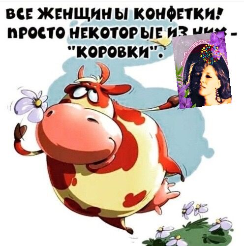 ВСЕ ЖЕНЩИН Ы КОНФЕТКИ ПРОСТО НЕКОТОРЫЕ 3 43 КОРОБКИ