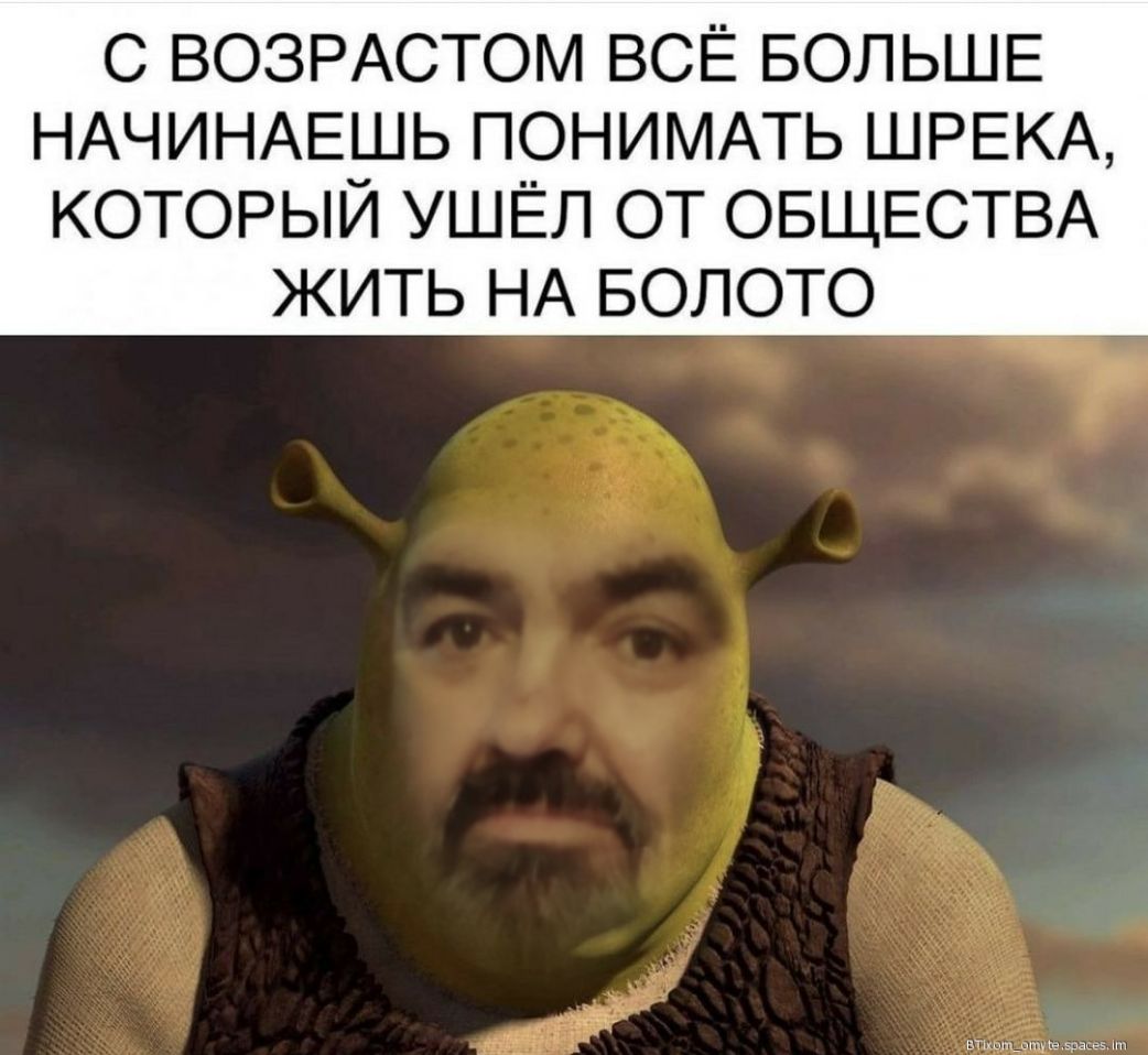 С ВОЗРАСТОМ ВСЁ БОЛЬШЕ НАЧИНАЕШЬ ПОНИМАТЬ ШРЕКА КОТОРЫЙ УШЁЛ ОТ ОБЩЕСТВА ЖИТЬ НА БОЛОТО
