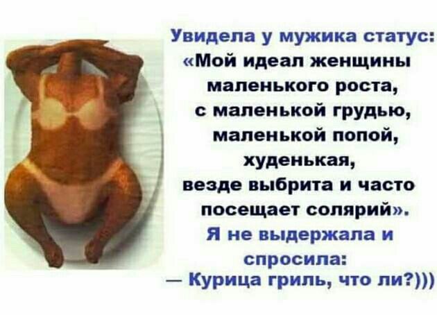Увидела у мужика статус Мой идеал женщины маленького роста с маленькой грудью маленькой попой худенькая везде выбрита и часто посещает солярий я не выдержала и спросила Курица гриль что ли