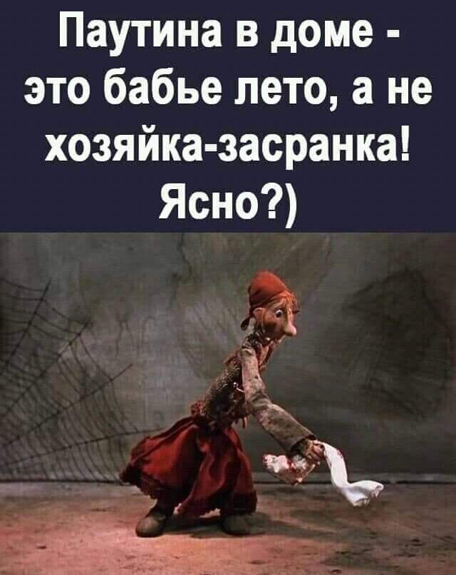 Паутина в доме это бабье лето а не хозяйка засранка Ясно