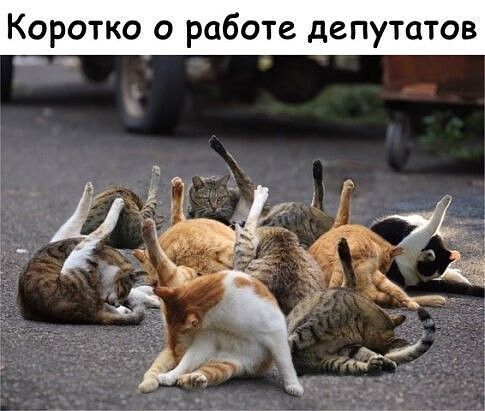 Коротко о работе депутатов