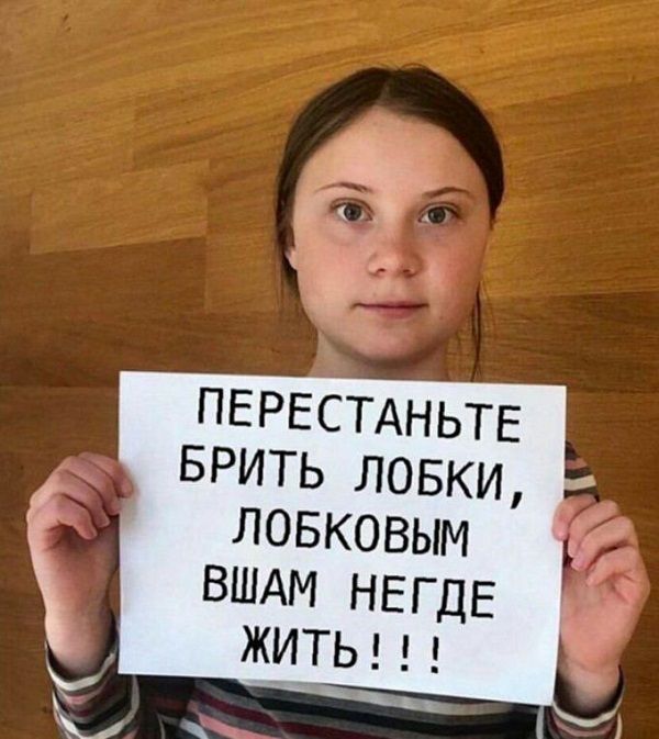 ПЕРЕСТАНЬТЕ БРИТЬ ловки ловковым вшдм негде ЖИТЬ